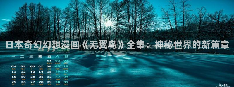 拷贝漫画3：日本奇幻幻想漫画《无翼鸟》全集：神秘世界的新篇章